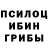 Псилоцибиновые грибы мицелий Voyceg Zhupan
