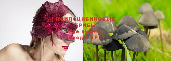 apvp Аркадак