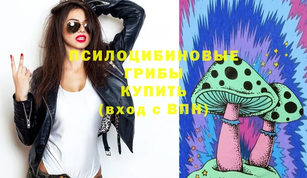 экстази Арсеньев