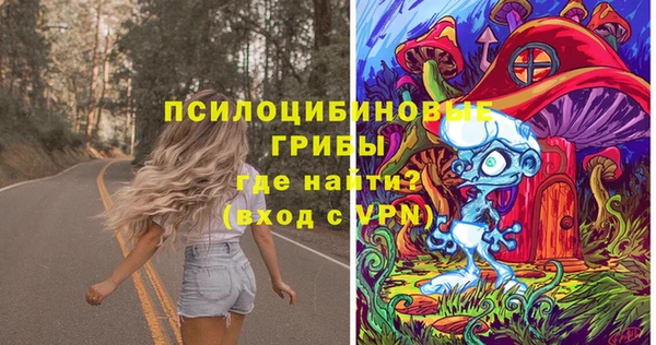 индика Армянск