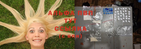 индика Армянск