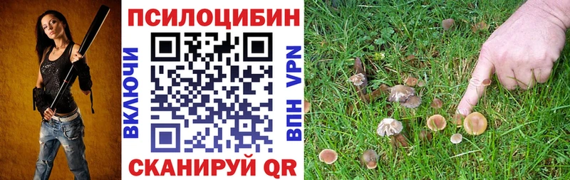 Галлюциногенные грибы прущие грибы  Соликамск 